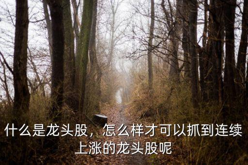 什么是龍頭股，怎么樣才可以抓到連續(xù)上漲的龍頭股呢
