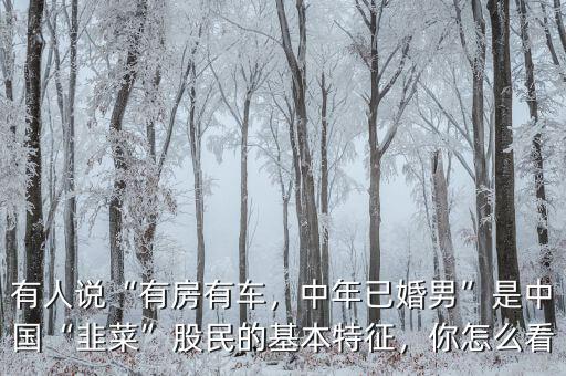 有人說“有房有車，中年已婚男”是中國“韭菜”股民的基本特征，你怎么看