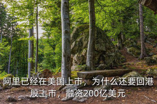 阿里已經(jīng)在美國(guó)上市，為什么還要回港股上市，融資200億美元