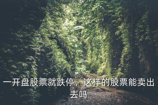 一開盤股票就跌停，這樣的股票能賣出去嗎