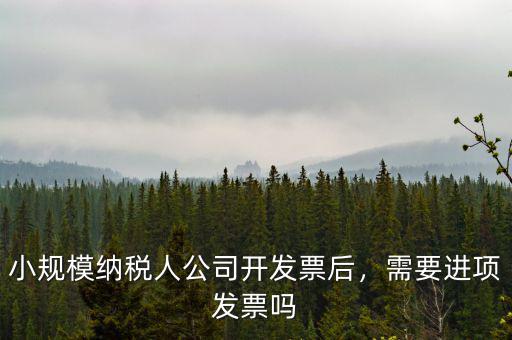 小規(guī)模納稅人公司開發(fā)票后，需要進(jìn)項(xiàng)發(fā)票嗎