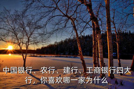中國(guó)銀行、農(nóng)行、建行、工商銀行四大行，你喜歡哪一家為什么