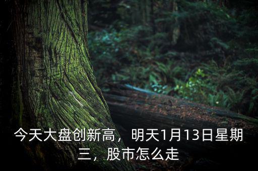 今天大盤創(chuàng)新高，明天1月13日星期三，股市怎么走