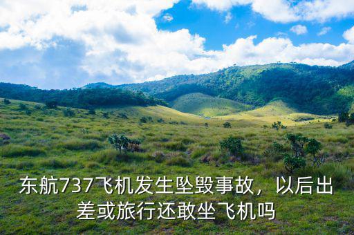 東航737飛機(jī)發(fā)生墜毀事故，以后出差或旅行還敢坐飛機(jī)嗎