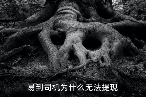 易到用車司機(jī)怎么收錢(qián),易到司機(jī)的錢(qián)無(wú)法提現(xiàn)