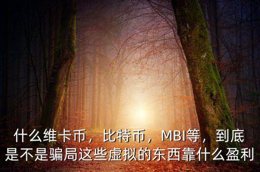 什么維卡幣，比特幣，MBI等，到底是不是騙局這些虛擬的東西靠什么盈利