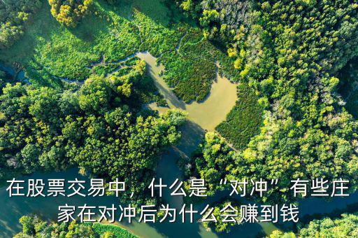 在股票交易中，什么是“對沖”有些莊家在對沖后為什么會賺到錢