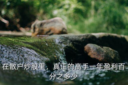 在散戶(hù)炒股里，真正的高手一年盈利百分之多少