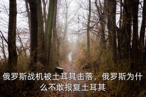 俄羅斯戰(zhàn)機(jī)被土耳其擊落，俄羅斯為什么不敢報(bào)復(fù)土耳其