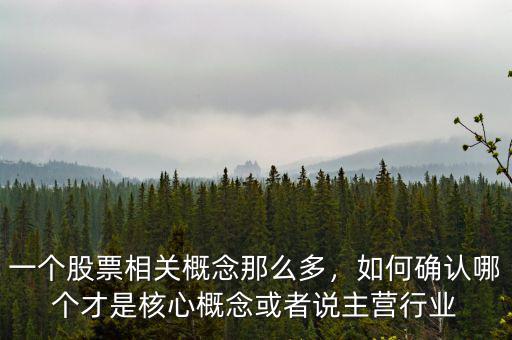 一個(gè)股票相關(guān)概念那么多，如何確認(rèn)哪個(gè)才是核心概念或者說(shuō)主營(yíng)行業(yè)