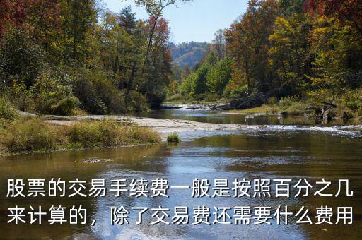 股票的交易手續(xù)費一般是按照百分之幾來計算的，除了交易費還需要什么費用
