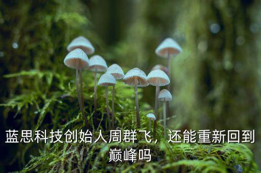 藍(lán)思科技創(chuàng)始人周群飛，還能重新回到巔峰嗎