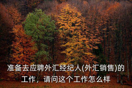 準(zhǔn)備去應(yīng)聘外匯經(jīng)紀(jì)人(外匯銷售)的工作，請(qǐng)問這個(gè)工作怎么樣