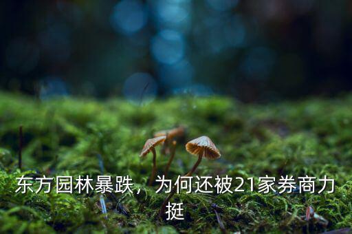 東方園林暴跌，為何還被21家券商力挺