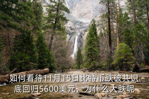如何看待11月15日比特幣跌破共識(shí)底回歸5600美元，為什么大跌呢