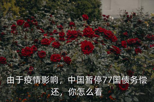 由于疫情影響，中國暫停77國債務(wù)償還，你怎么看