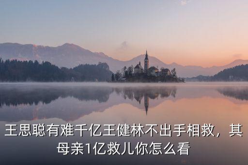 王思聰有難千億王健林不出手相救，其母親1億救兒你怎么看