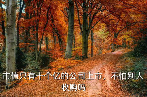 市值只有十個(gè)億的公司上市，不怕別人收購(gòu)嗎