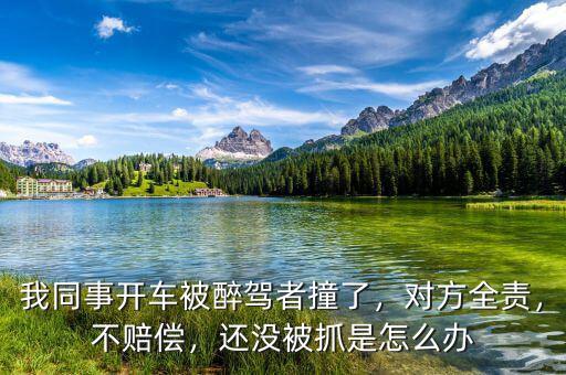 我同事開車被醉駕者撞了，對方全責(zé)，不賠償，還沒被抓是怎么辦