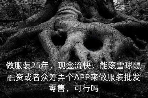 做服裝25年，現(xiàn)金流快，能滾雪球想融資或者眾籌弄個(gè)APP來(lái)做服裝批發(fā)零售，可行嗎
