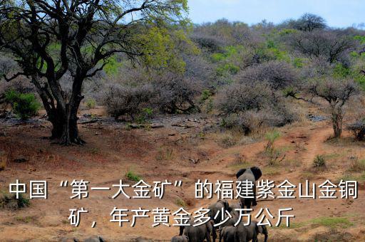 中國(guó)“第一大金礦”的福建紫金山金銅礦，年產(chǎn)黃金多少萬(wàn)公斤