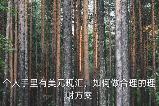 個人手里有美元現(xiàn)匯，如何做合理的理財方案