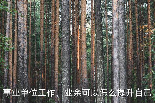 事業(yè)單位工作，業(yè)余可以怎么提升自己