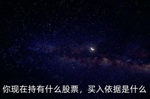 你現(xiàn)在持有什么股票，買入依據(jù)是什么