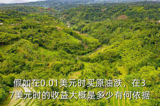 假如在0.01美元時買原油跌，在37美元時的收益大概是多少有何依據(jù)