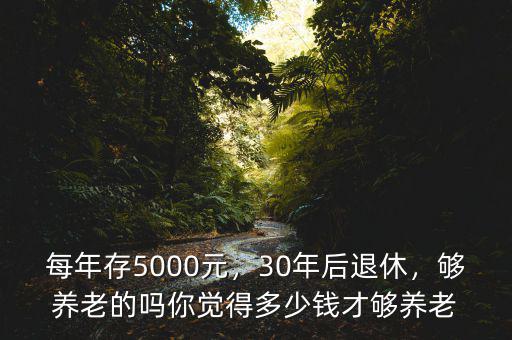 每年存5000元，30年后退休，夠養(yǎng)老的嗎你覺得多少錢才夠養(yǎng)老