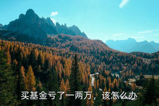 買基金虧了一兩萬，該怎么辦