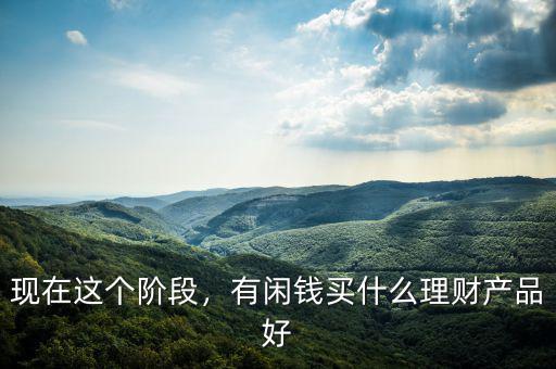 現(xiàn)在這個階段，有閑錢買什么理財產(chǎn)品好