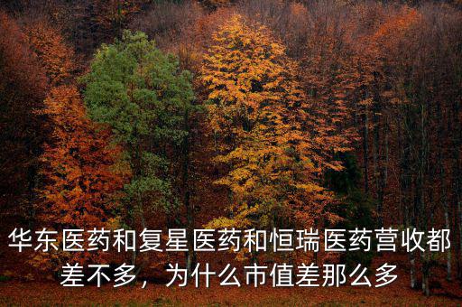 華東醫(yī)藥和復(fù)星醫(yī)藥和恒瑞醫(yī)藥營(yíng)收都差不多，為什么市值差那么多