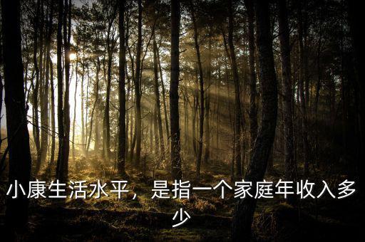 小康生活水平，是指一個(gè)家庭年收入多少