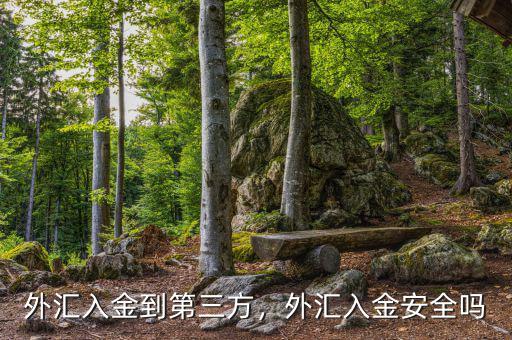 外匯入金到第三方，外匯入金安全嗎