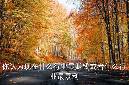 你認為現在什么行業(yè)最賺錢或者什么行業(yè)最暴利