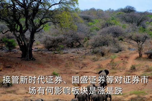 接管新時(shí)代證券、國(guó)盛證券等對(duì)證券市場(chǎng)有何影響板塊是漲是跌