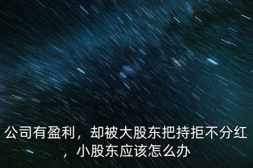 公司有盈利，卻被大股東把持拒不分紅，小股東應(yīng)該怎么辦