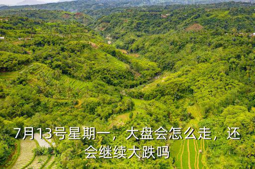 7月13號(hào)星期一，大盤會(huì)怎么走，還會(huì)繼續(xù)大跌嗎
