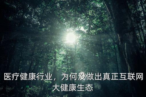 醫(yī)療健康行業(yè)，為何沒做出真正互聯(lián)網(wǎng)大健康生態(tài)