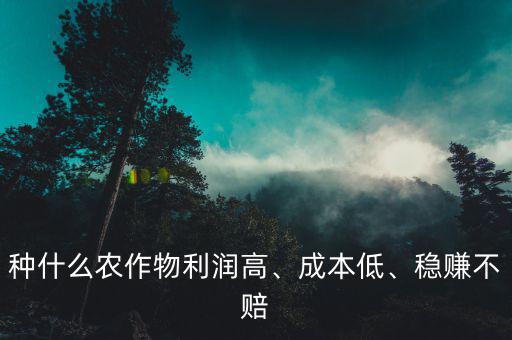 種什么農(nóng)作物利潤(rùn)高、成本低、穩(wěn)賺不賠