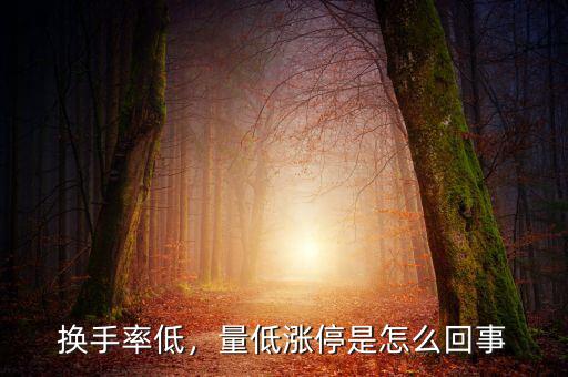 換手率低，量低漲停是怎么回事