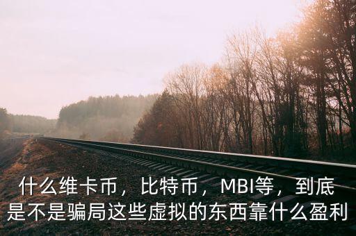 什么維卡幣，比特幣，MBI等，到底是不是騙局這些虛擬的東西靠什么盈利