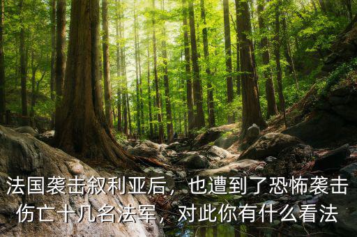 法國襲擊敘利亞后，也遭到了恐怖襲擊傷亡十幾名法軍，對此你有什么看法
