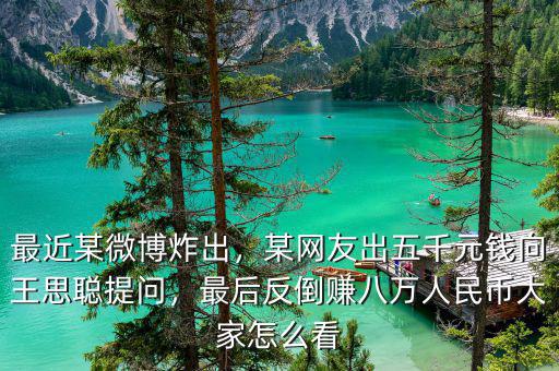 最近某微博炸出，某網(wǎng)友出五千元錢(qián)向王思聰提問(wèn)，最后反倒賺八萬(wàn)人民幣大家怎么看