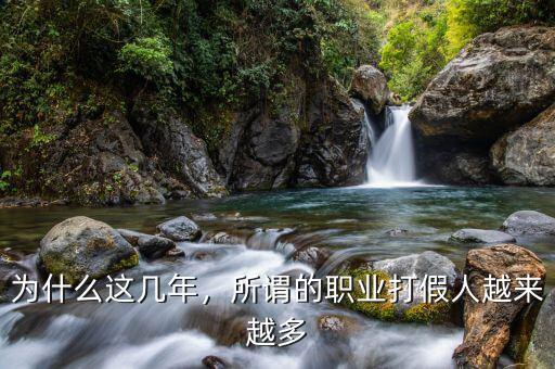 為什么這幾年，所謂的職業(yè)打假人越來越多