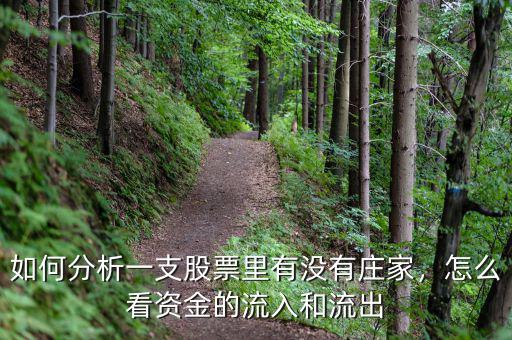 如何分析一支股票里有沒有莊家，怎么看資金的流入和流出