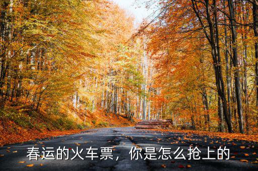 春運(yùn)的火車票，你是怎么搶上的