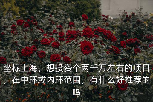 坐標(biāo)上海，想投資個兩千萬左右的項目，在中環(huán)或內(nèi)環(huán)范圍，有什么好推薦的嗎