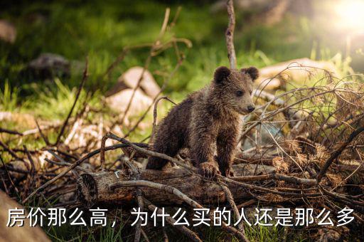 房?jī)r(jià)那么高，為什么買的人還是那么多